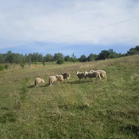 Lantgård Agriturismo Fattoria Poggio Boalaio *
