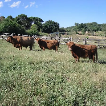 Bauernhof Fattoria Poggio Boalaio Orvieto