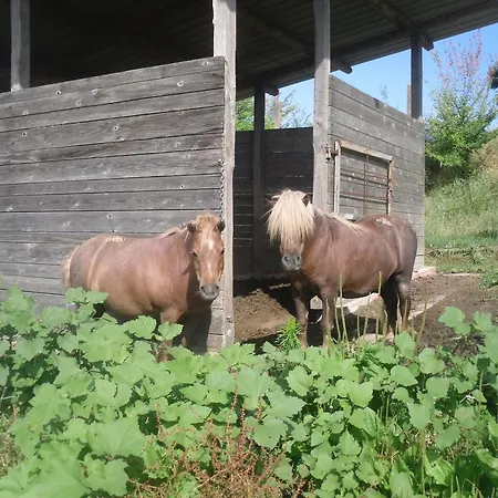Fattoria Poggio Boalaio Bauernhof Orvieto