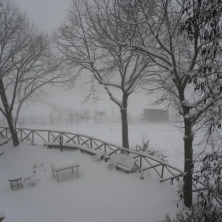 Fattoria Poggio Boalaio * Orvieto