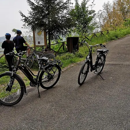 Lantgård Fattoria Poggio Boalaio Orvieto