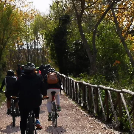 Lantgård Fattoria Poggio Boalaio