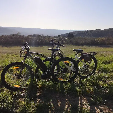 Bauernhof Fattoria Poggio Boalaio Orvieto